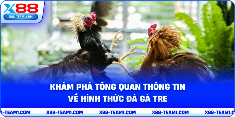 kham-pha-tong-quan-thong-tin-ve-hinh-thuc-da-ga-tre